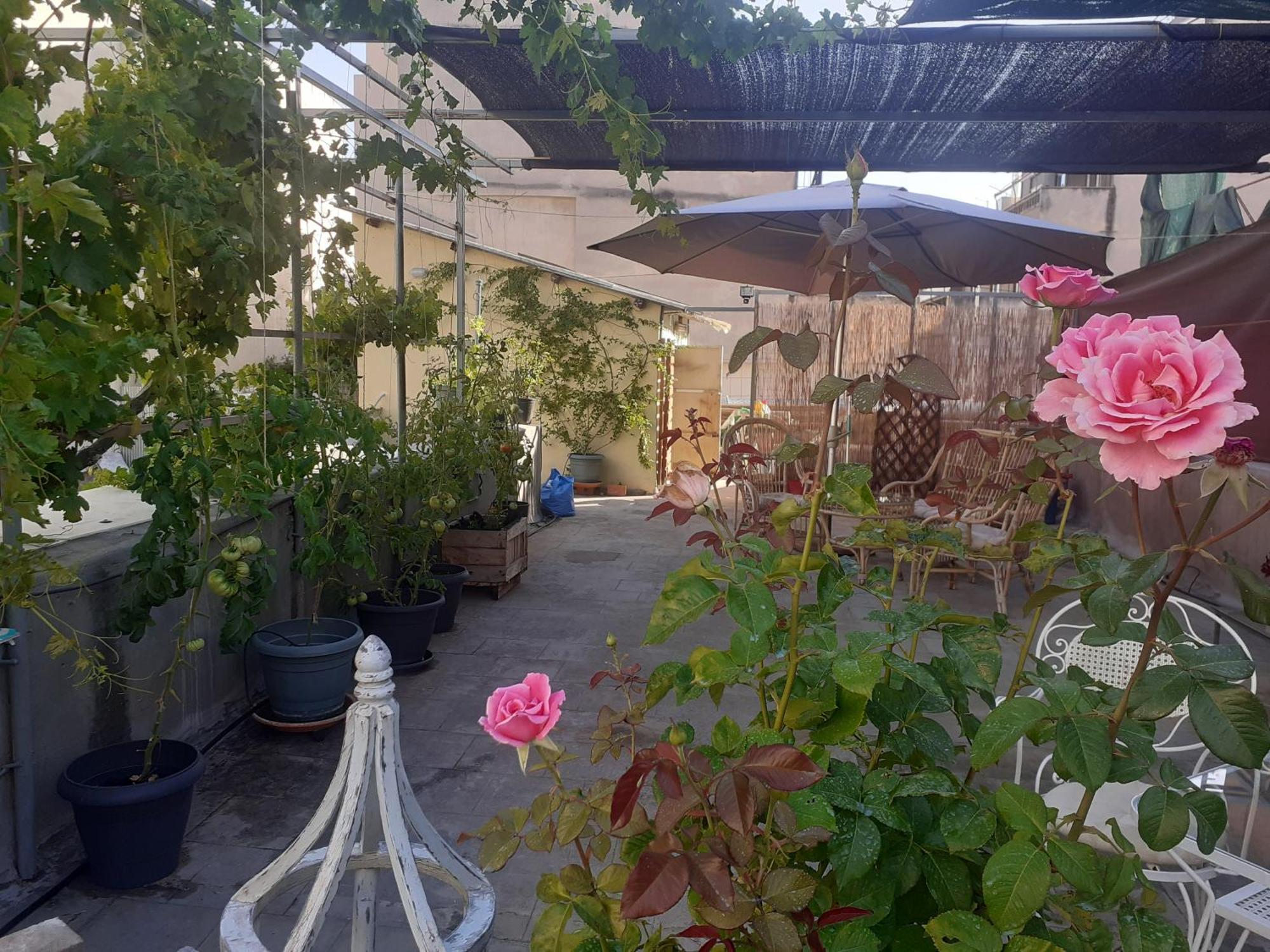 17 Flats And Roof Garden Apartment เอเธนส์ ภายนอก รูปภาพ